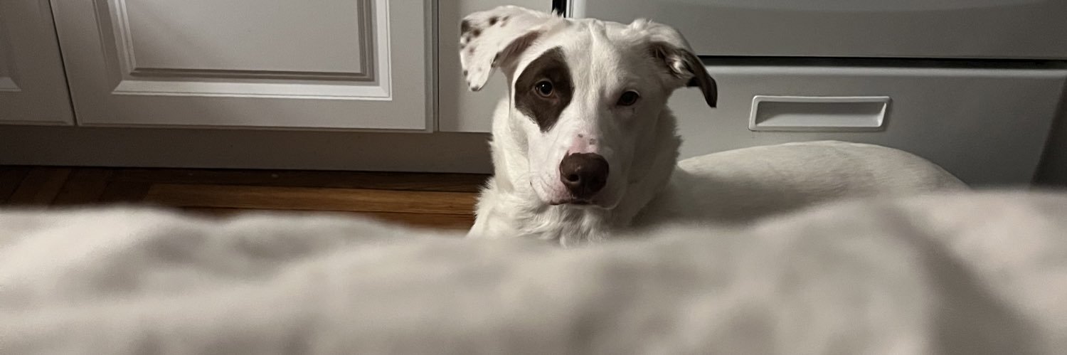 BenjiAllOver's profile banner image