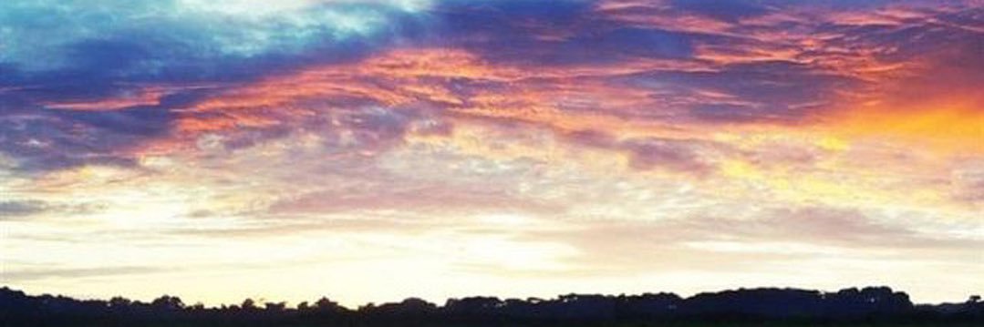 EchoRogueBlue's profile banner image
