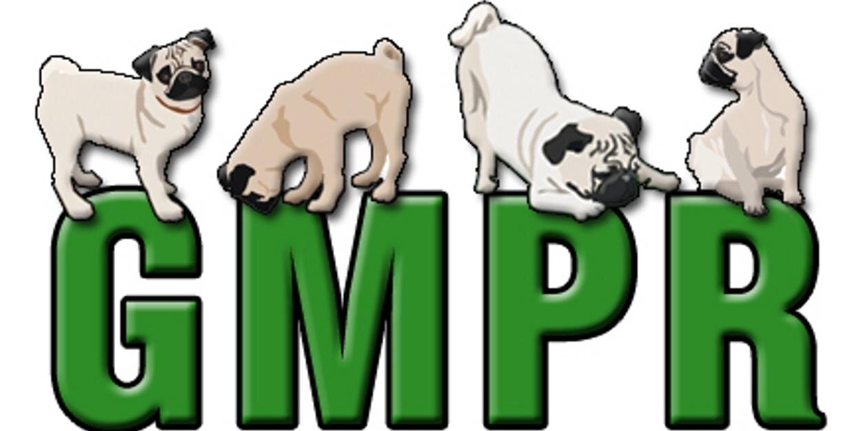 Green Mtn Pug Rescue banner