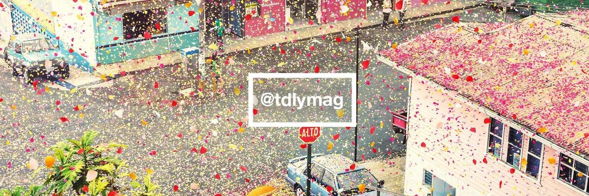 They Don't Love You banner