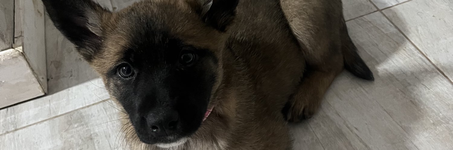 NarellaCastro2's profile banner image