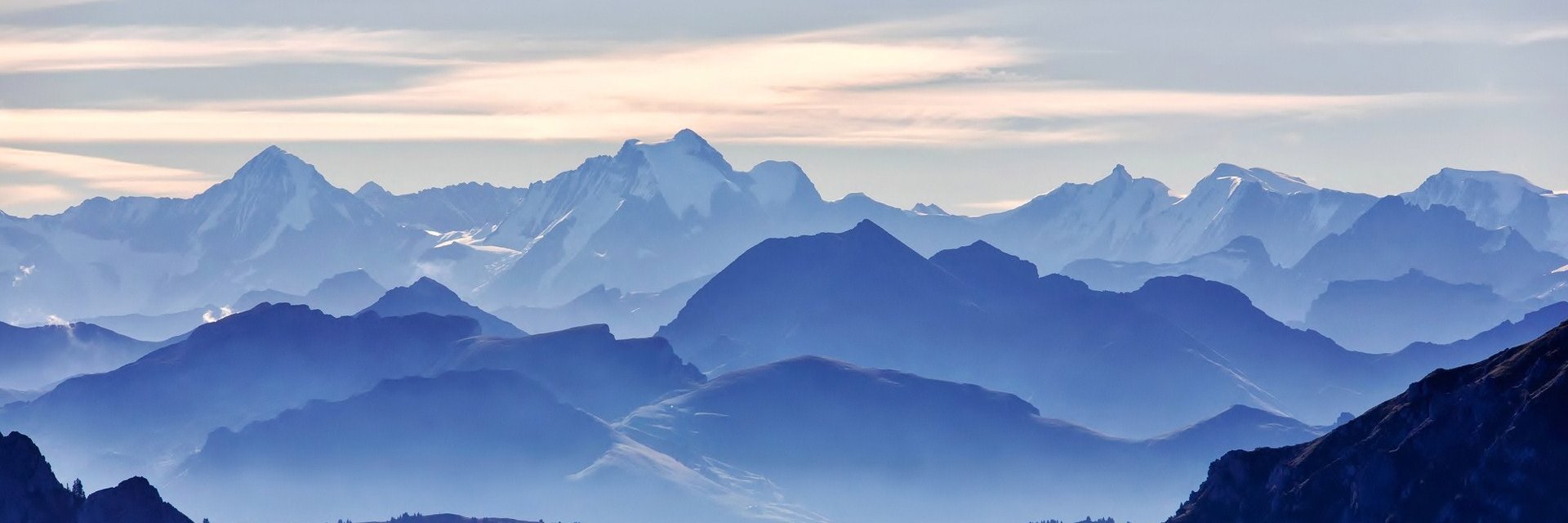 Catherine_CKA's profile banner image