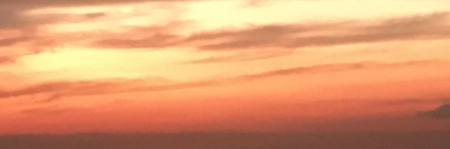 Courtney Davis banner