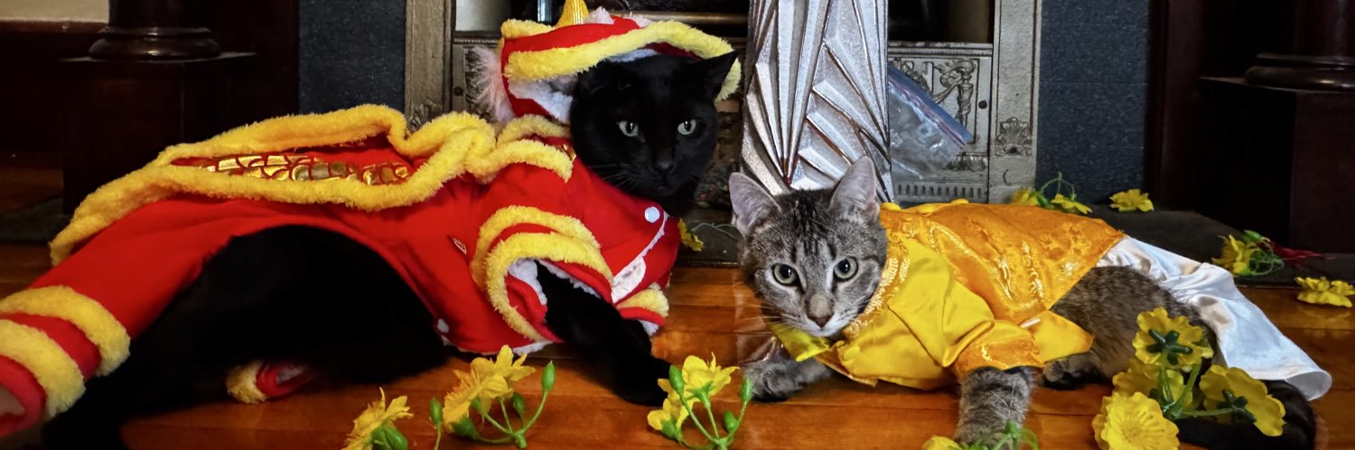 matchacat02's profile banner image