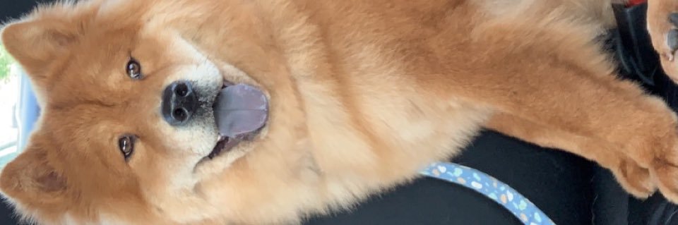 TinaChunn_'s profile banner image