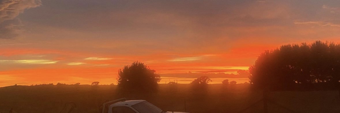 David Edwards🇦🇺 banner