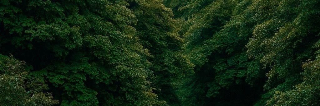 Njod3bdallah's profile banner image