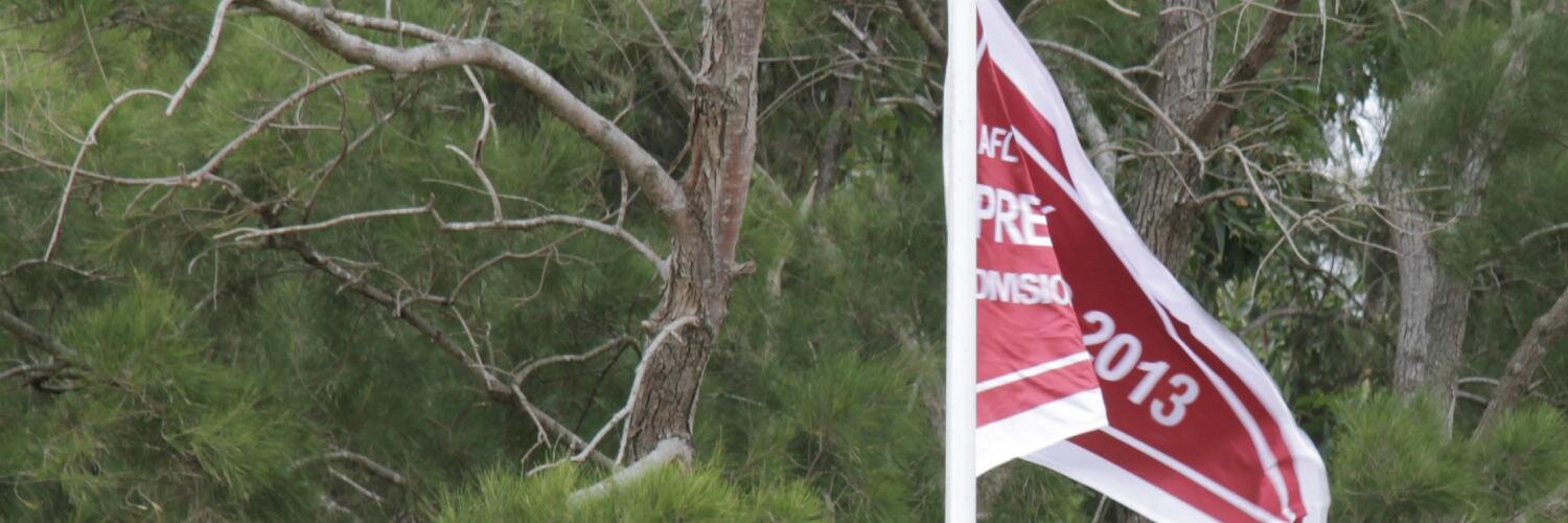 The Wolves 🐺 banner