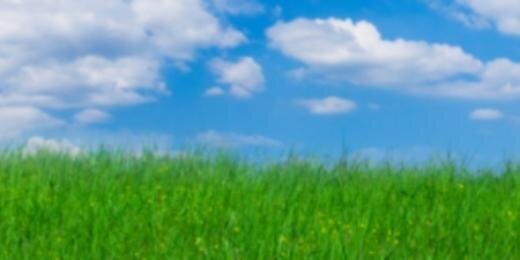 Commodity Wx Group's banner