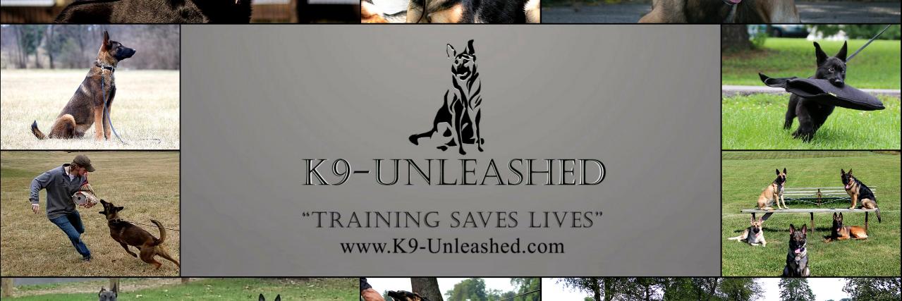 K9_Unleashed's profile banner image