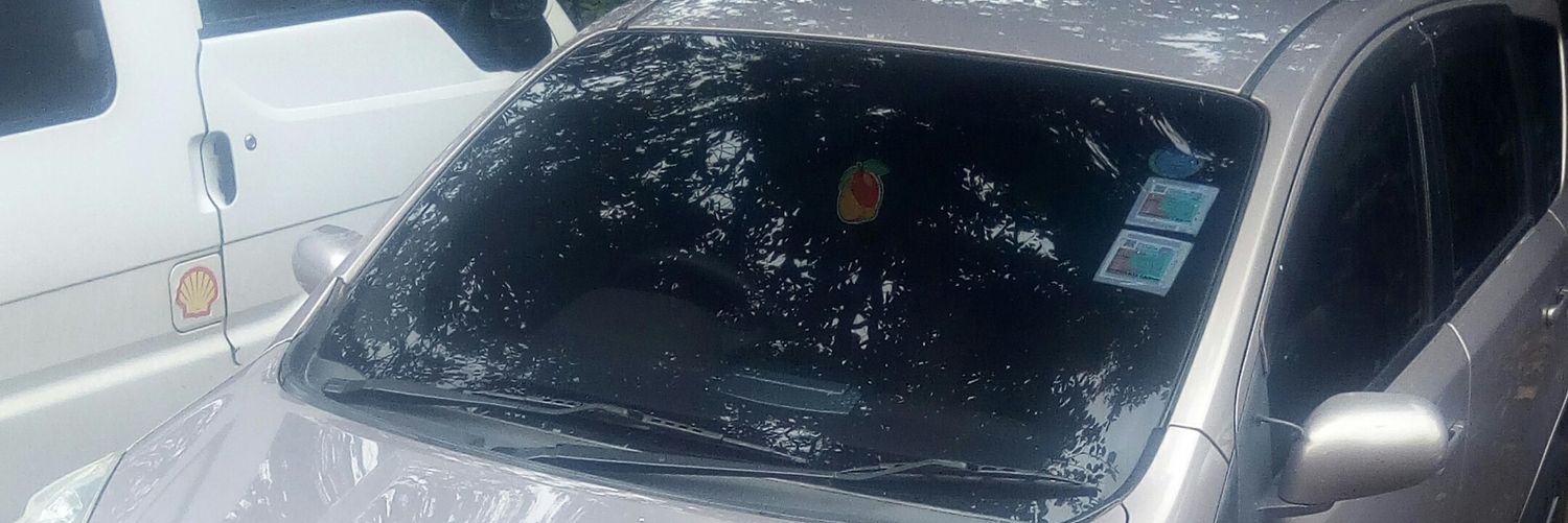 ImmortalBrother's profile banner image
