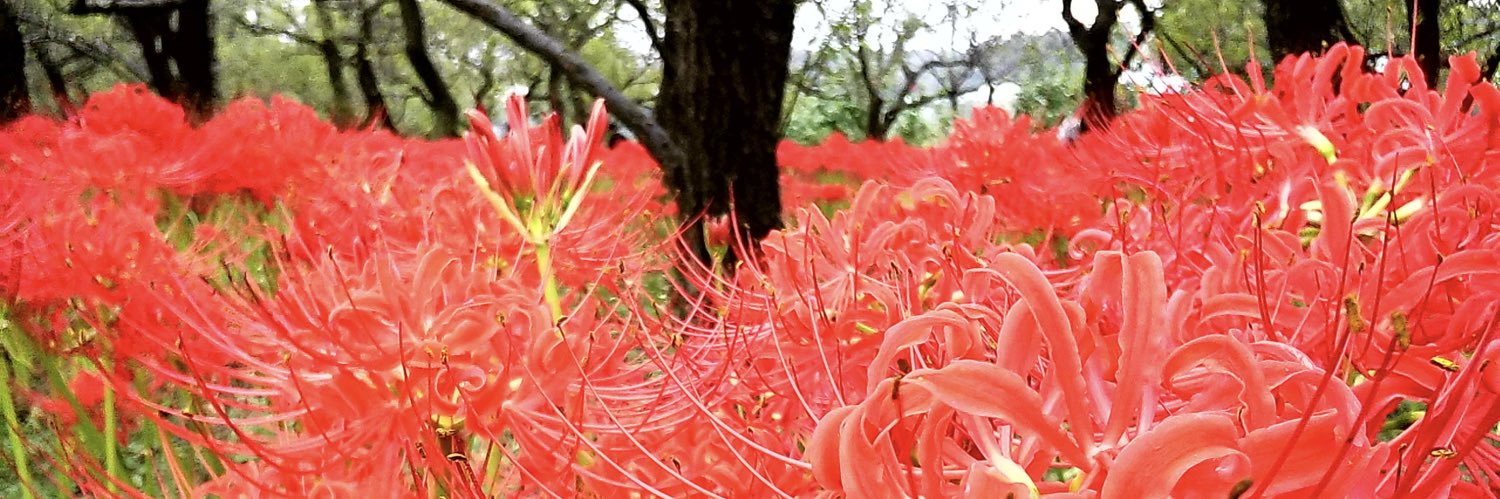 hiroto_kbt's profile banner image