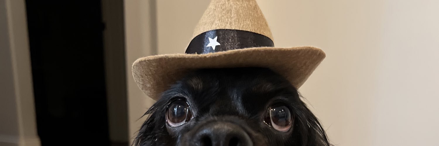 ___scj's profile banner image