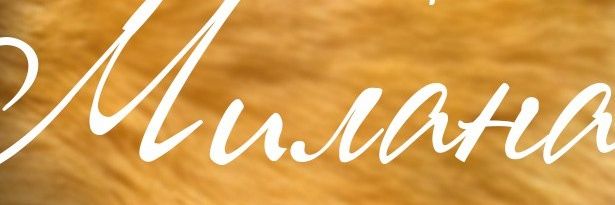 Milana_24's profile banner image