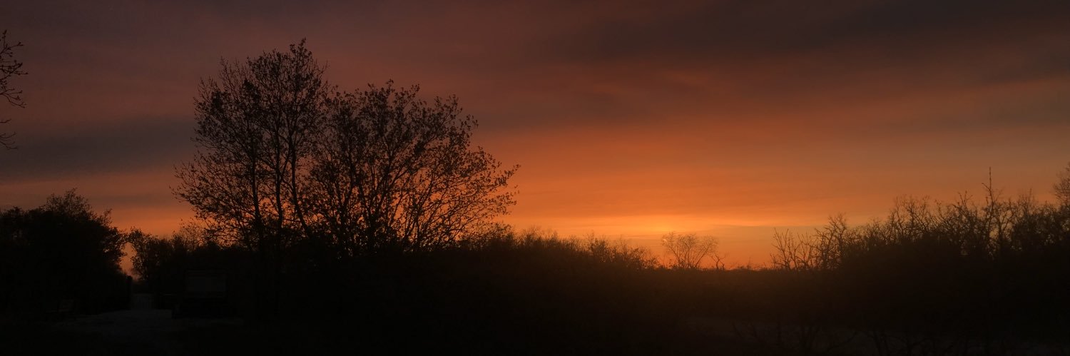 16Guimond's profile banner image