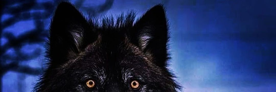 jtinformation1's profile banner image