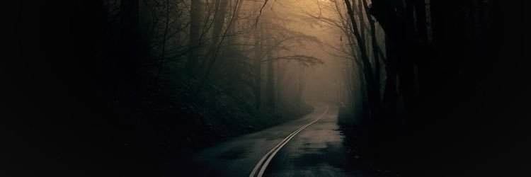 neverhomeless's profile banner image
