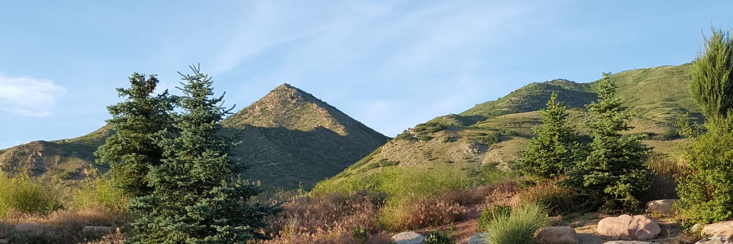 MarcPardee's profile banner image