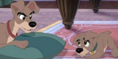 PawsOffMyPop's profile banner image