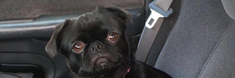samreneej's profile banner image