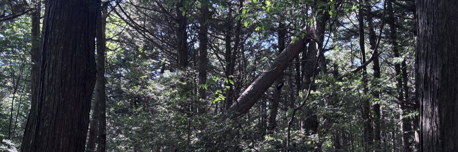 wasuretagano's profile banner image