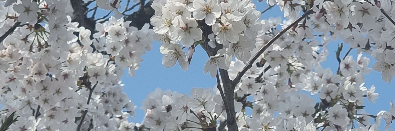 a58101's profile banner image