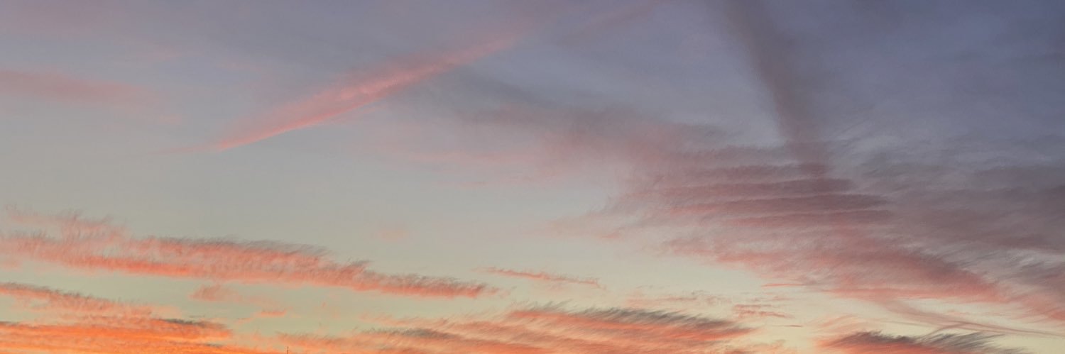 guitarbee's profile banner image