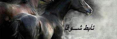 hythamnimir's profile banner image