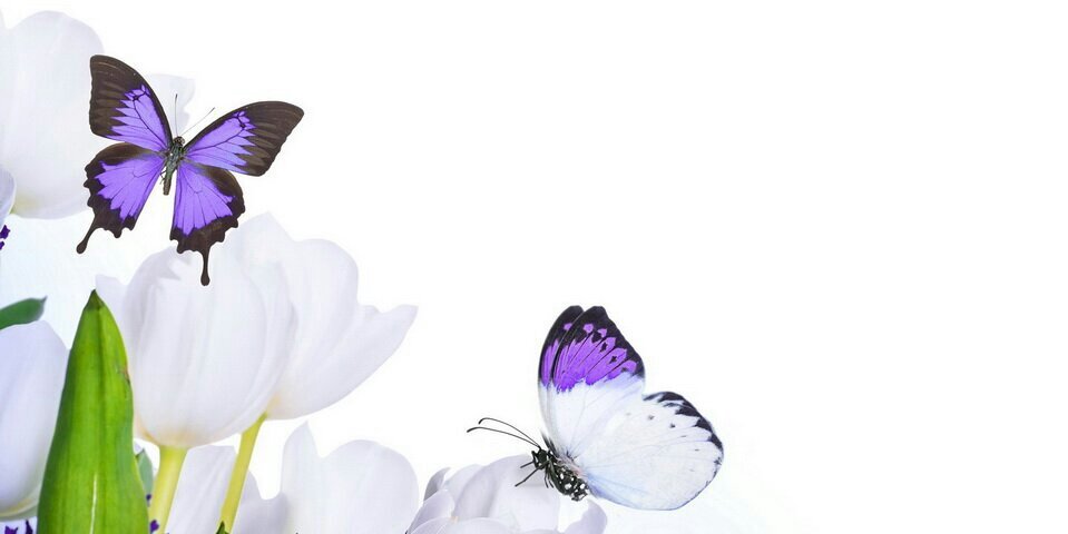 revsoneill's profile banner image
