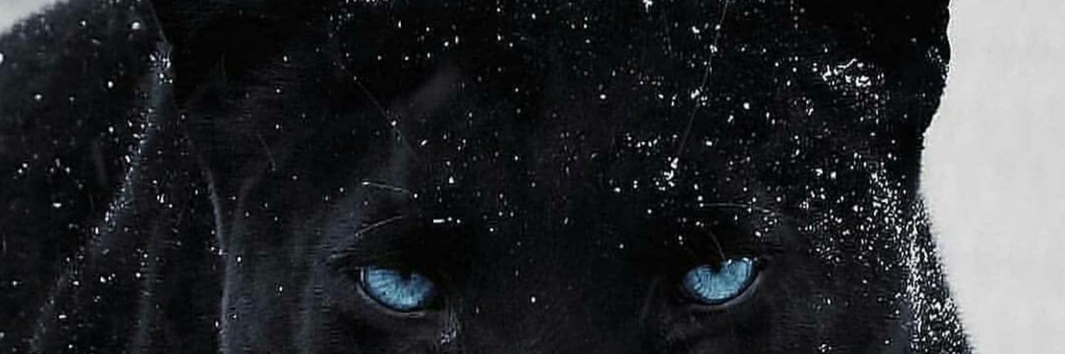 juannitou's profile banner image
