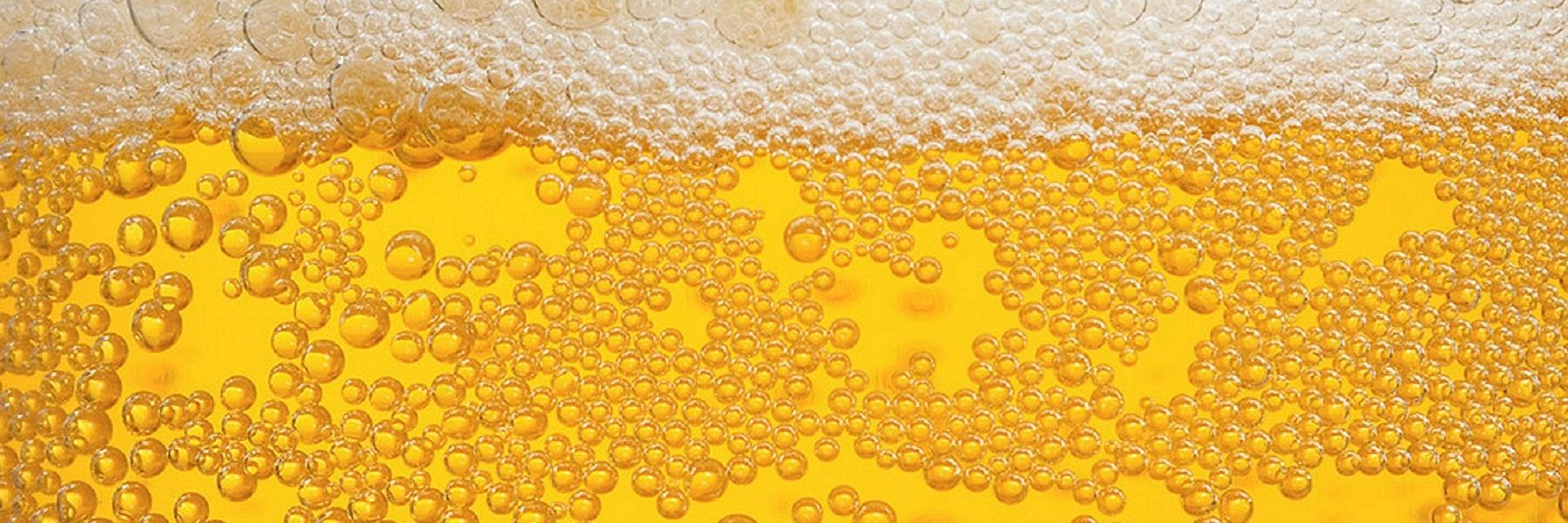 LakeBeverage's profile banner image