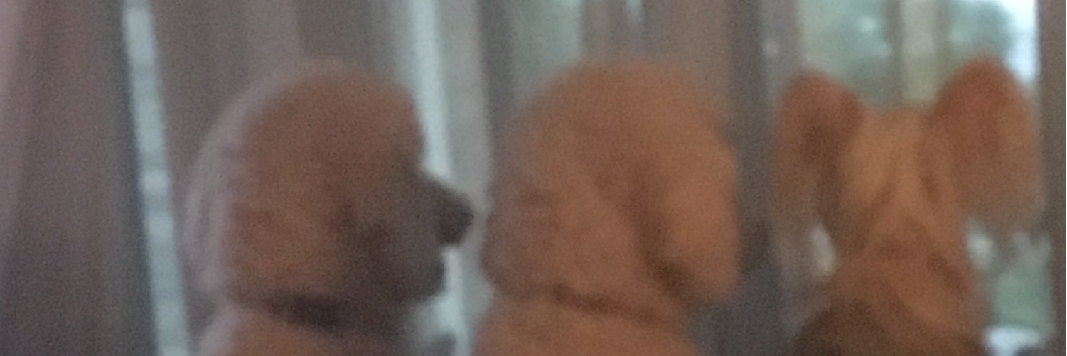wellfaceted's profile banner image