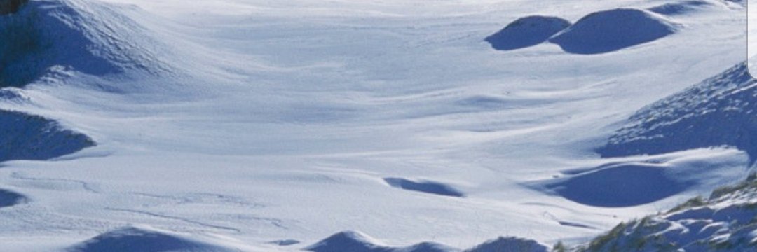 SconnieGolfer banner