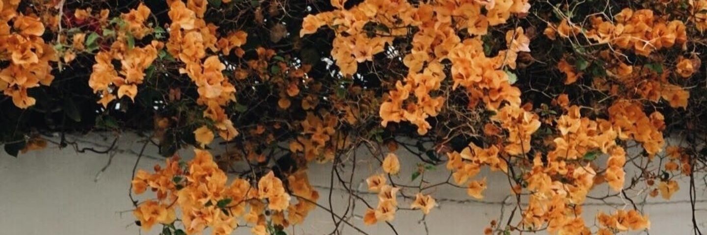 ikrnjh_'s profile banner image