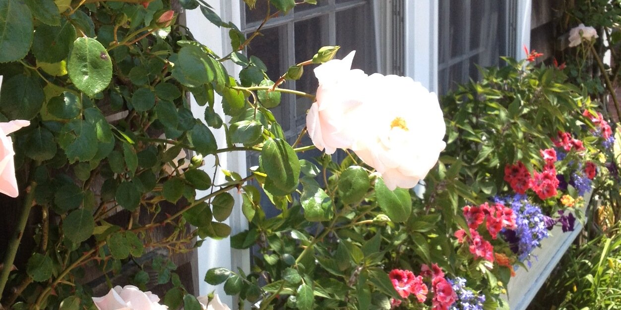 carijordan's profile banner image