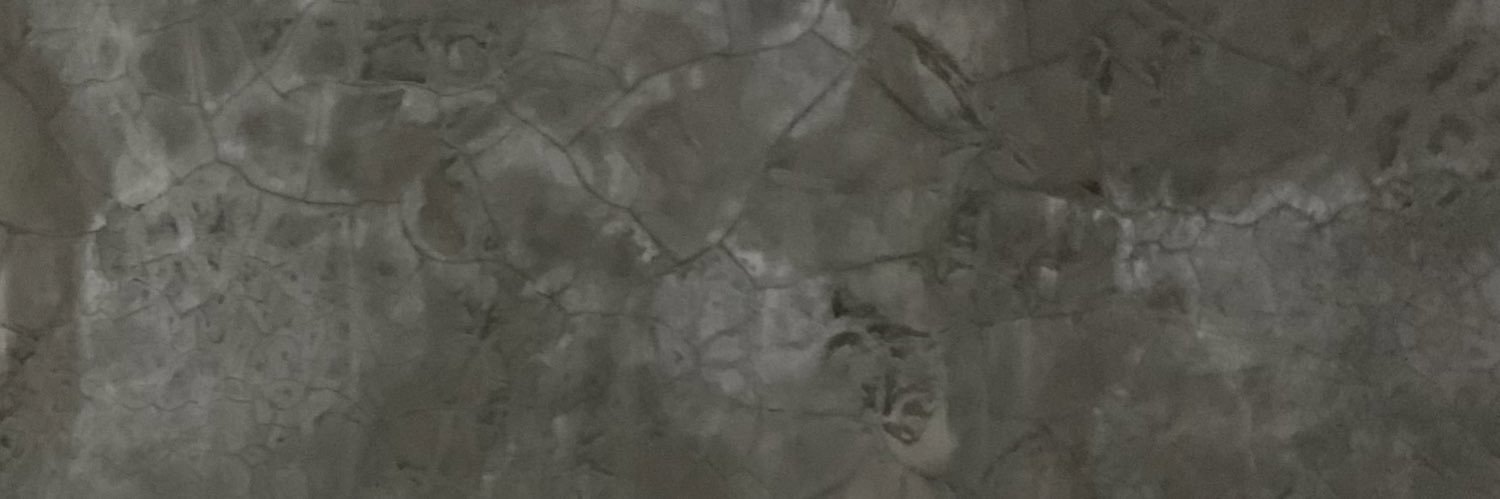 nykhansa's profile banner image