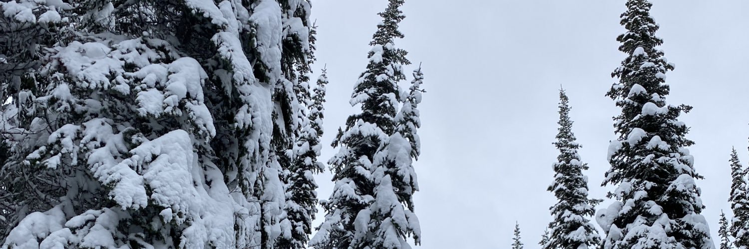 Ains_T's profile banner image