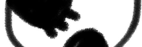 MissWoolla's profile banner image
