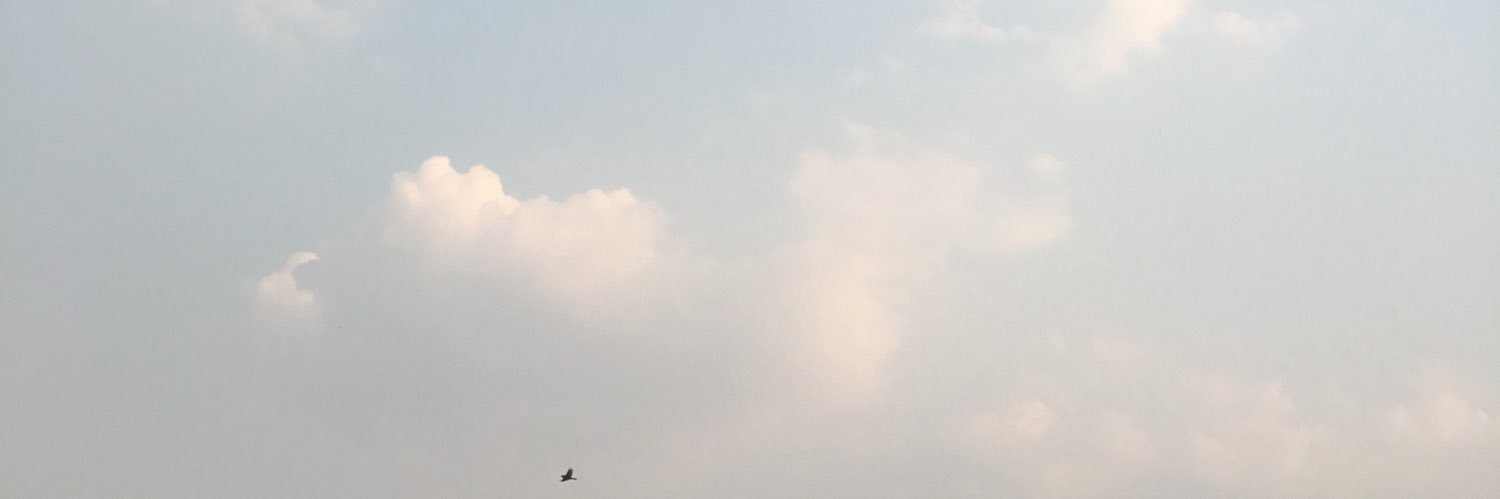 Areeya_4's profile banner image