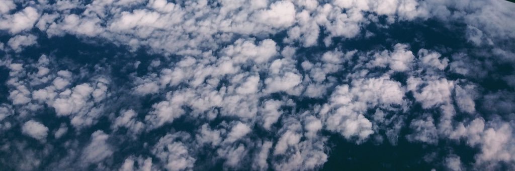 Buchabambucha's profile banner image