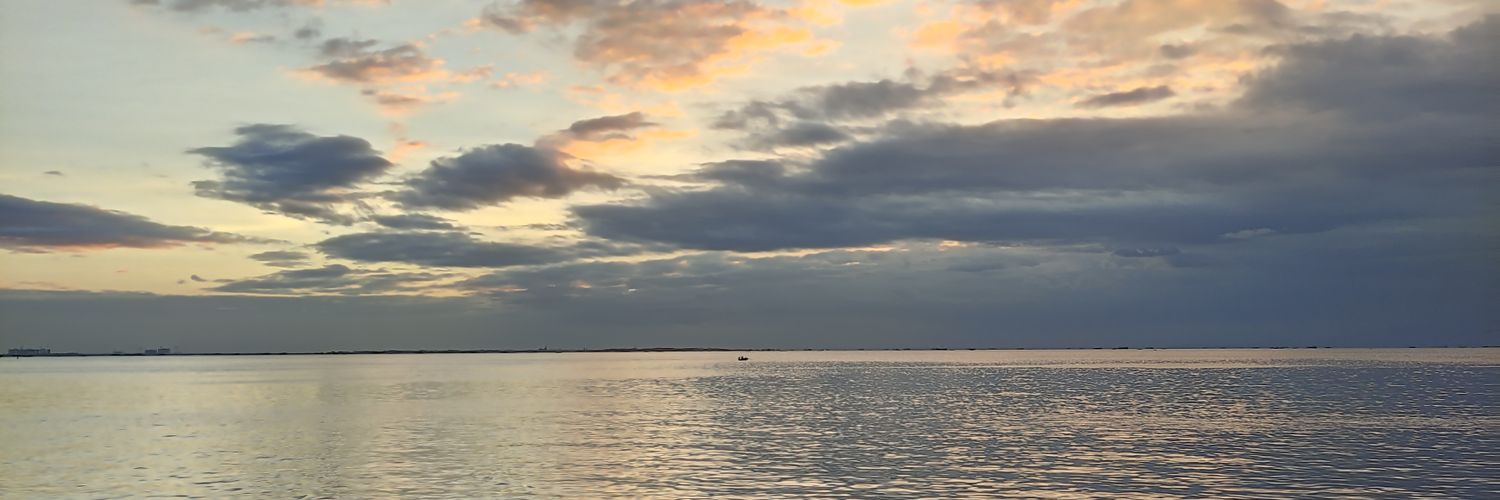 carlyannify's profile banner image