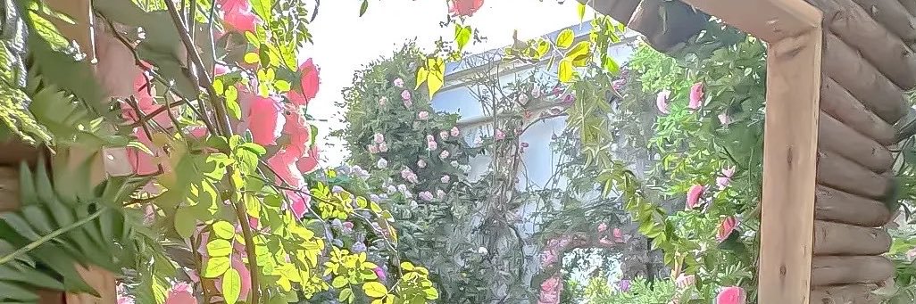 slomo1986's profile banner image
