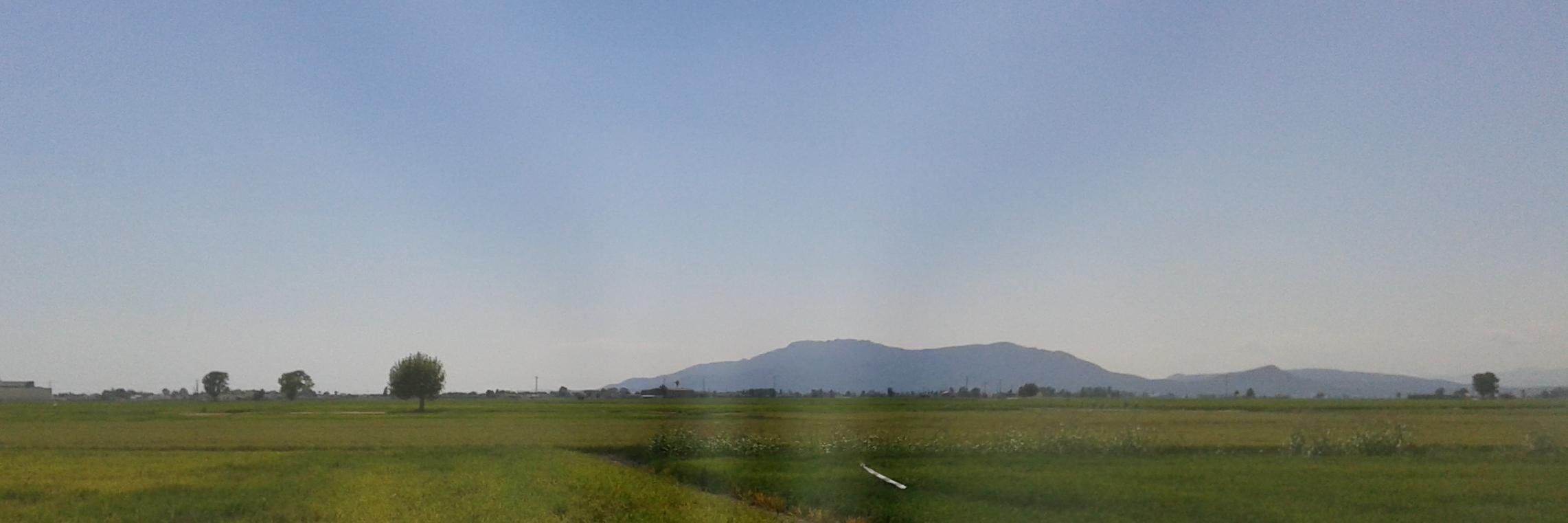 Aida C. Rodríguez banner
