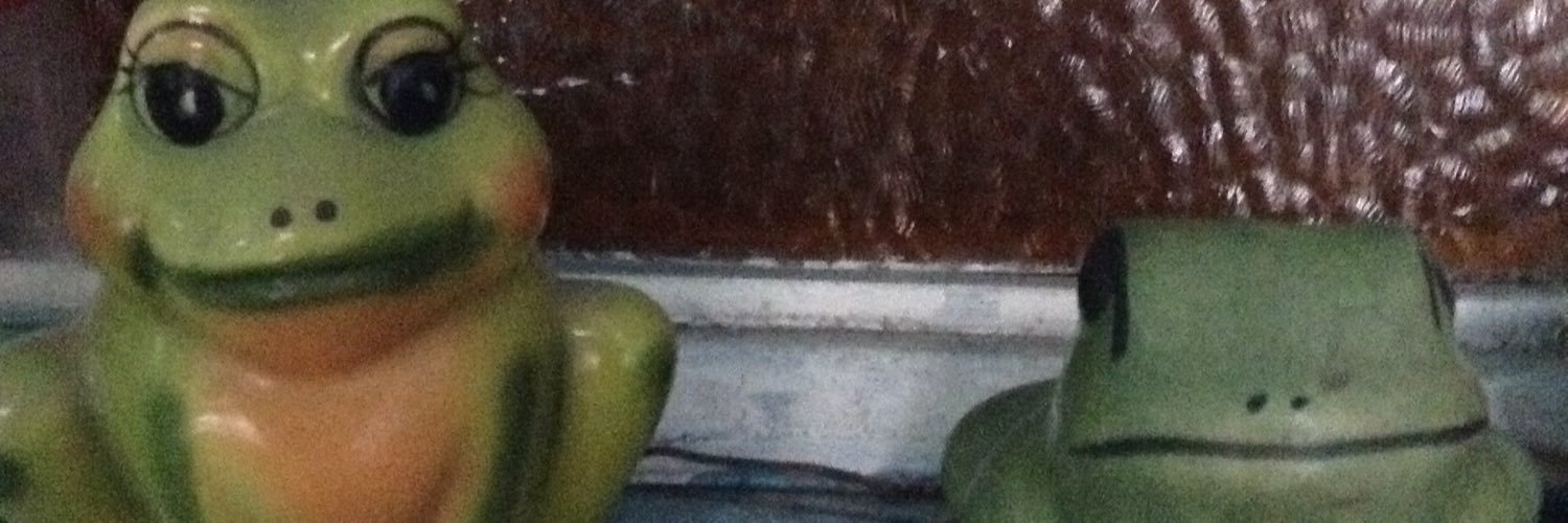 bororigmo's profile banner image
