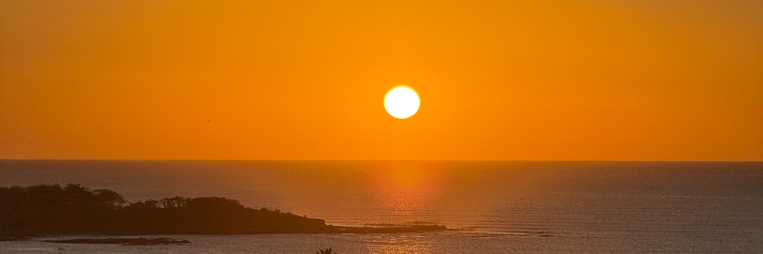 pam_lanza's profile banner image