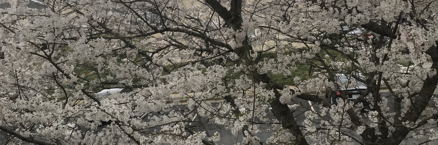 ChoppaThaGod's profile banner image