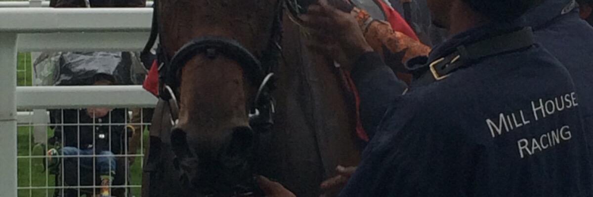 Baronbabb's profile banner image
