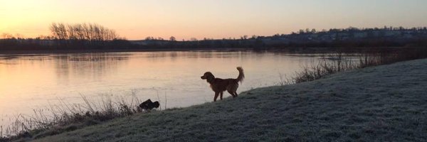 ClaireShand Profile Banner