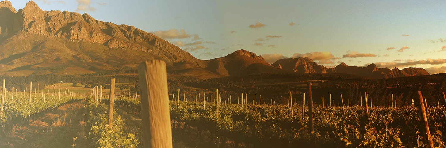 napiervineyards's profile banner image