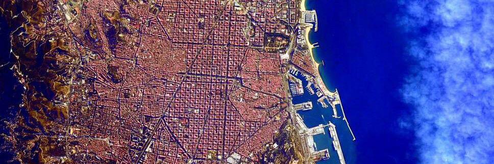 Cardiodiagnosis banner